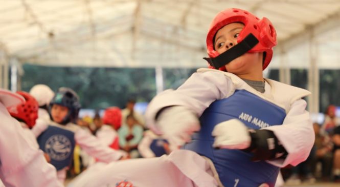 EXHIBICIÓN DE ARTES MARCIALES EN PARQUE NAUCALLI