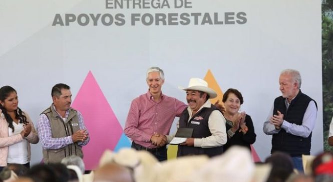 GOBERNADOR DEL MAZO REFRENDA SU COMPROMISO PARA CONSERVAR Y HACER CRECER BOSQUES MEXIQUENSES