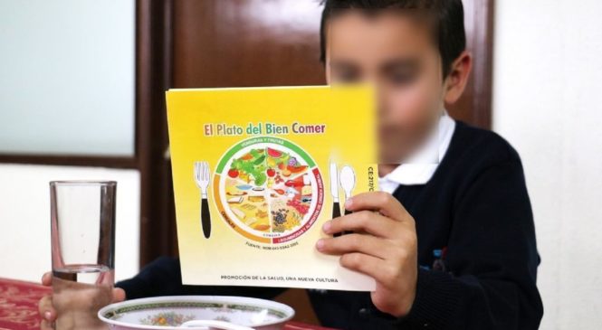 NUTRICIÓN SALUDABLE PARA MEJORAR DESEMPEÑO ESCOLAR DE LOS MENORES