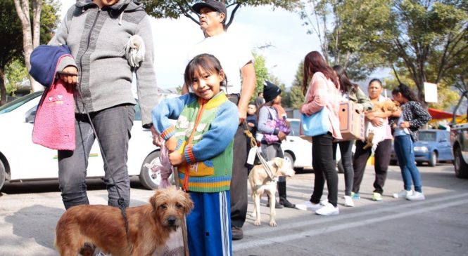 TERCERA JORNADA INTENSIVA DE ESTERILIZACIÓN PARA MASCOTAS, EN TLALNEPANTLA