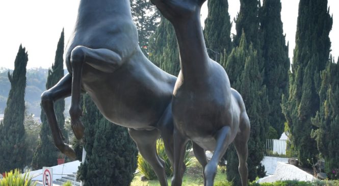 EXHORTA GOBIERNO DE ATIZAPÁN A QUE PARQUE DE LOS CIERVOS PREVALEZCA COMO ÁREA NATURAL