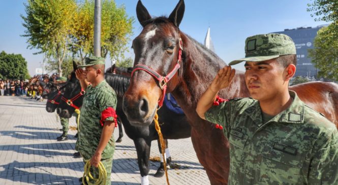 SEDENA DONA 5 CABALLOS A POLICÍA MONTADA DE NAUCALPAN