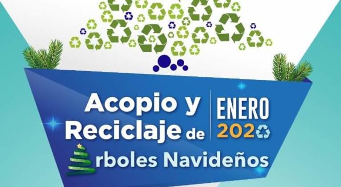 PERMANECE ABIERTO EL CENTRO DE ACOPIO DE ÁRBOLES DE NAVIDAD EN HUIXQUILUCAN