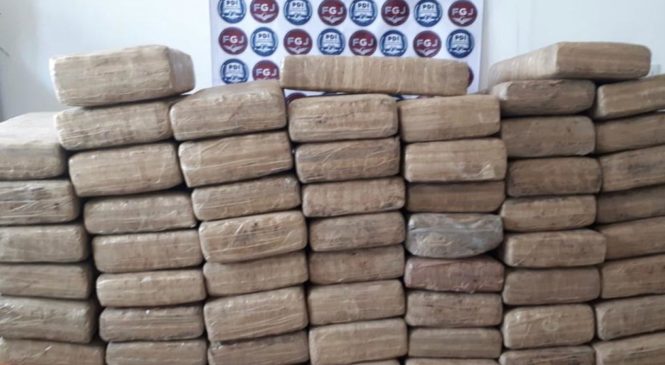 ASEGURAN MÁS DE 250 KILOGRAMOS DE MARIHUANA EN UN INMUEBLE DE TEPOTZOTLÁN