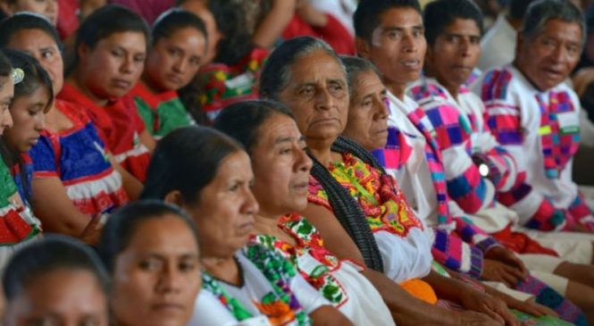 COMUNIDADES INDÍGENAS RECLAMAN POR TREN MAYA: Bajo presión