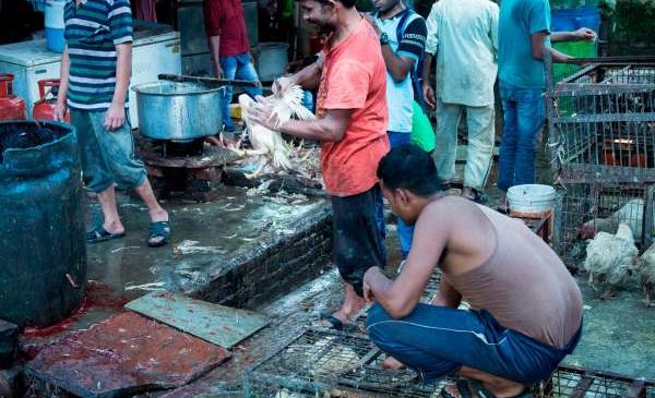 AMENAZAN MERCADOS HÚMEDOS LA SALUD PÚBLICA MUNDIAL