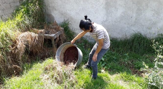 APLICAN MÁS DE 2 MIL ACCIONES PARA PREVENIR DENGUE, ZIKA Y CHIKUNGUNYA