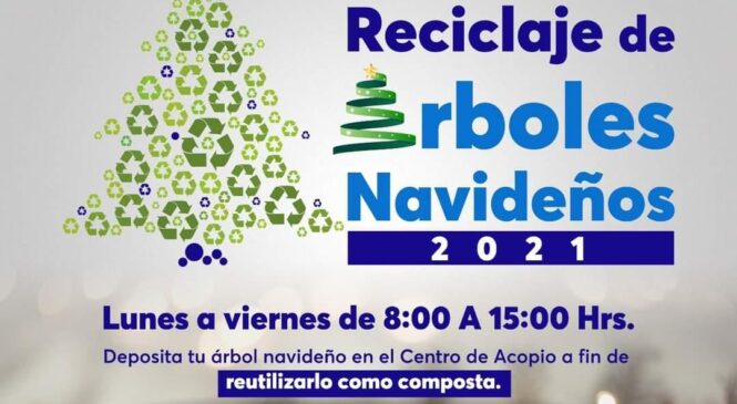 CUENTA HUIXQUILUCAN CON CENTRO DE ACOPIO Y RECICLAJE DE ÁRBOLES DE NAVIDAD