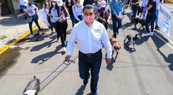 TONY RODRÍGUEZ PROPONE LA CONSTRUCCIÓN DE UN HOSPITAL PARA ANIMALES A FIN DE BRINDARLES SALUD Y VIDA DIGNA