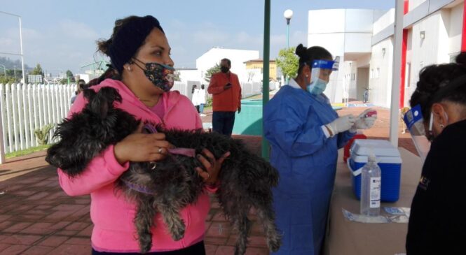 LLAMA SECRETARÍA DE SALUD A LA POBLACIÓN A PROTEGER A PERROS Y GATOS CONTRA LA RABIA