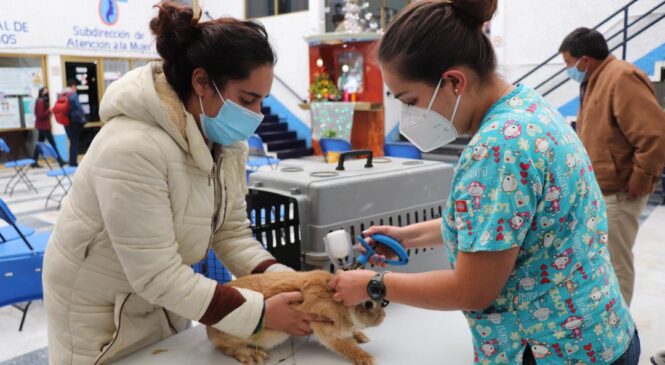 REALIZA HUIXQUILUCAN JORNADA DE VACUNACIÓN CONTRA LA ENFERMEDAD HEMORRÁGICA VIRAL PARA CONEJOS DOMÉSTICOS