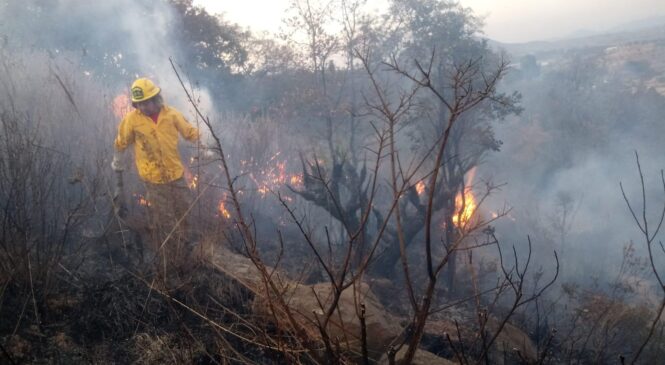 LLAMA NAUCALPAN A PREVENIR INCENDIOS FORESTALES EN TEMPORADA DE ESTIAJE