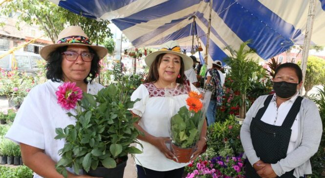 DENUNCIA ROSARIO ELIZALDE SAQUEO DE CACTÁCEAS EN AXAPUSCO