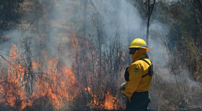 EN EDOMÉX COMBATEN 60 INCENDIOS FORESTALES DURANTE PERIODO VACACIONAL DE SEMANA SANTA