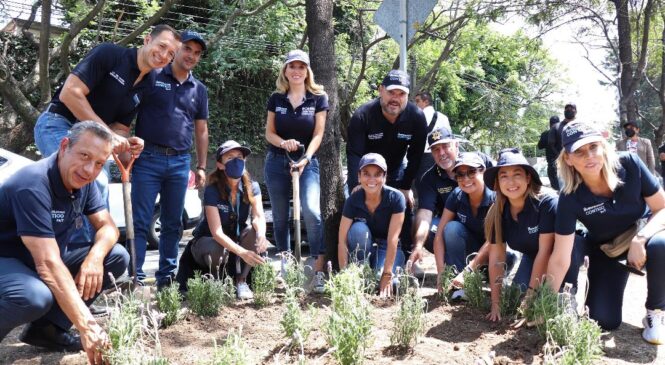 CON EL PROGRAMA HUIXQUILUCAN CONTIGO 24/7 SE REFORESTAN JARDINES Y CAMELLONES PARA MEJORAR EL ENTORNO URBANO