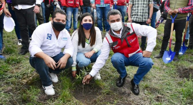 TLALNEPANTLA ENCABEZA JORNADA DE REFORESTACIÓN EN LA SIERRA DE GUADALUPE 2022