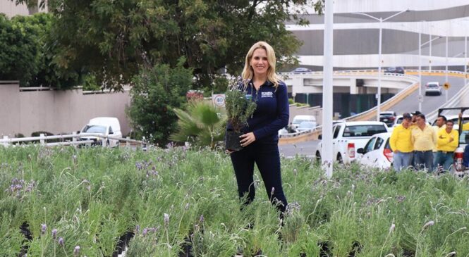 CON JARDINES POLINIZADORES, HUIXQUILUCAN EMBELLECE EL ENTORNO URBANO