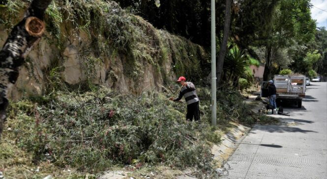 GOBIERNO DE NAUCALPAN DA MANTENIMIENTO A TALUD EN JARDINES DE SATÉLITE