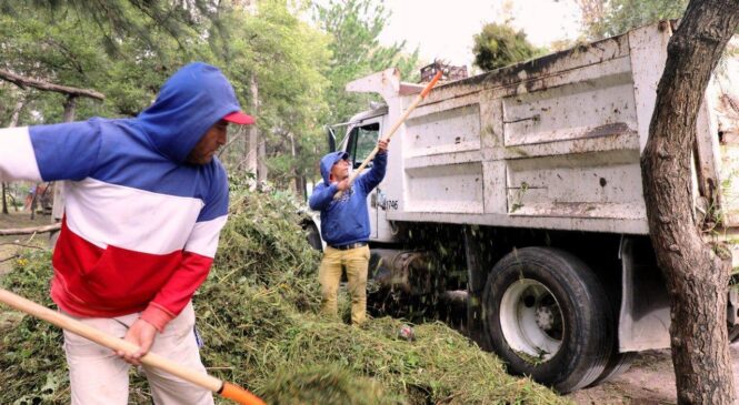 BRINDAN MANTENIMIENTO AL PARQUE “LA HOJA” EN EL BOSQUE DE LOS REMEDIOS