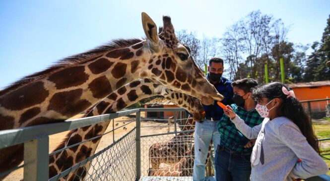 ANUNCIAN CIERRE TEMPORAL DEL PARQUE ECOLÓGICO “ZACANGO”