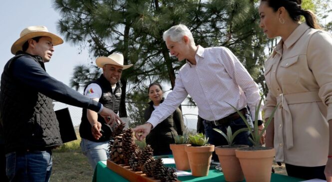 CUENTA EDOMÉX CON EL PRIMER VIVERO EN EL PAÍS QUE PRODUCE AGAVE ENDÉMICO