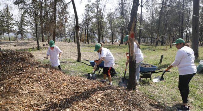 RESTAURAN PARQUE LA HOJA, AFECTADO POR PLAGAS E INCENDIOS