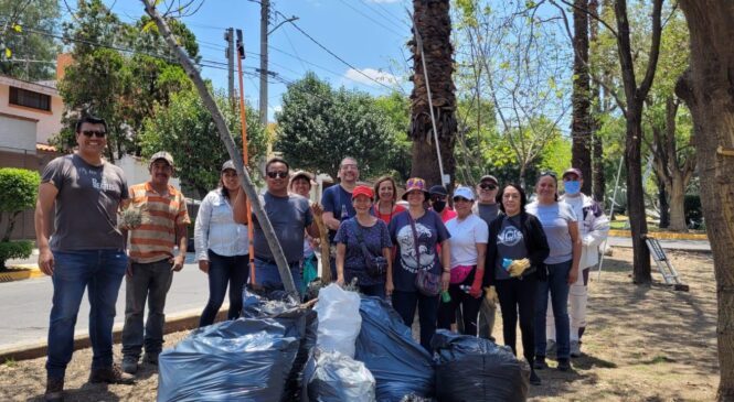 CIUDADANOS Y GOBIERNO TRABAJAN PARA ELIMINAR PLAGAS EN ÁRBOLES DE NAUCALPAN