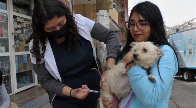 APLICAN MÁS DE 30 MIL VACUNAS ANTIRRÁBICAS EN HUIXQUILUCAN PARA PROTEGER A PERROS Y GATOS