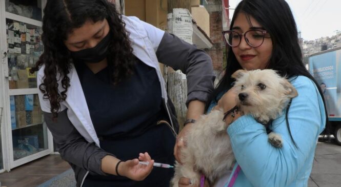 CUIDA HUIXQUILUCAN LA SALUD DE LAS MASCOTAS CON ATENCIÓN MÉDICA ESPECIALIZADA