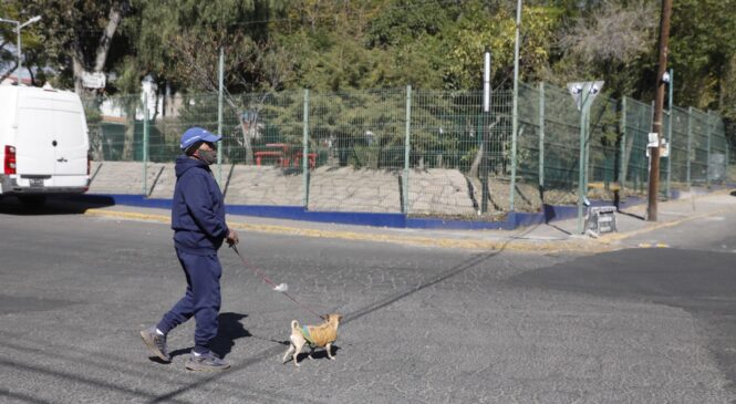 IMPULSA NAUCALPAN ESPACIOS DE INTERACCIÓN HUMANO-ANIMAL