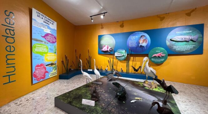 MUSEO DE CIENCIAS NATURALES ORGANIZA ACTIVIDADES MENSUALES PARA MEXIQUENSES