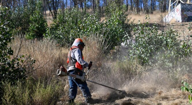 TRABAJADORES Y VOLUNTARIOS QUITAN 80 TONELADAS DE MALEZA Y MATERIAL INFLAMABLE DEL CERRO DE MOCTEZUMA PARA PREVENIR INCENDIOS