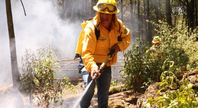 OCUPA EDOMÉX EL SEGUNDO LUGAR EN DETECCIÓN DE INCENDIOS FORESTALES: CONAFOR