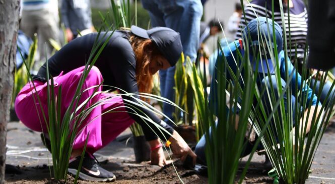 HUIXQUILUCAN REFORESTA PARQUES PARA PRESERVAR EL MEDIO AMBIENTE