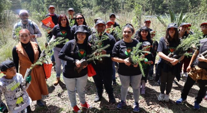 REFUERZA HUIXQUILUCAN JORNADAS DE REFORESTACIÓN PARA PRESERVAR ZONAS BOSCOSAS