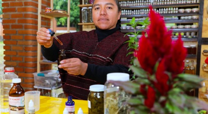 MAGDALENA GARCIA, UNA MÉDICA TRADICIONAL OTOMÍ QUE CUIDA LA SALUD DE LAS COMUNIDADES ORIGINARIAS