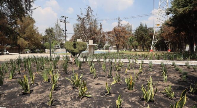 RIEGA HUIXQUILUCAN PARQUES Y JARDINES CON AGUA TRATADA PARA MANTENERLOS VERDES