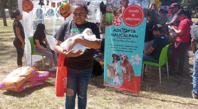 REALIZARÁN EVENTO DE ADOPCIÓN DE CACHORROS EN PARQUE NAUCALLI