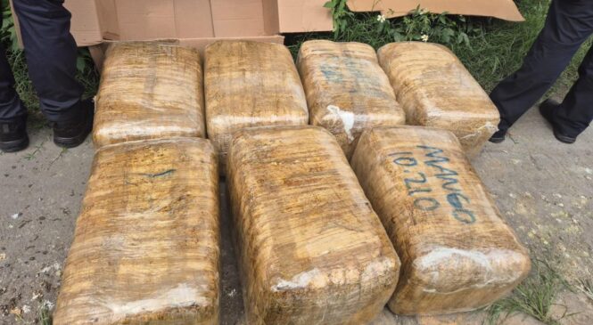 CON MÁS DE 70 KILOS DE HIERBA VERDE, POLICÍAS DE TLALNEPANTLA DETIENEN A UNA PAREJA EN CALLES DEL MUNICIPIO