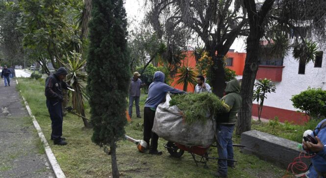 RETIRAN CERCA DE 45 TONELADAS DE HIERBA, DE PODA DE ÁRBOLES Y DE BASURA EN LA COLONIA LAS AMÉRICAS