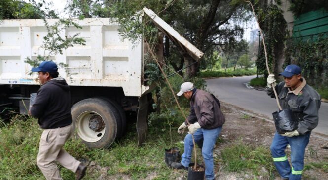 REFORESTA HUIXQUILUCAN INMEDIACIONES DE LA PRESA “EL CAPULÍN”