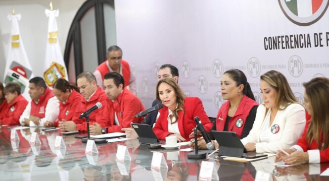 DEMANDA PRI LA ANULACIÓN DEL PROCESO ELECTORAL JUDICIAL