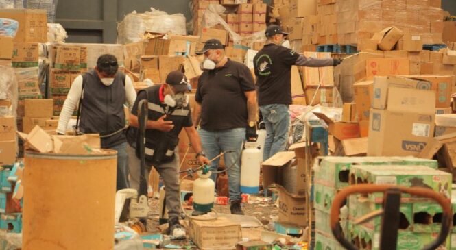 GOBIERNO DE AZUCENA CISNEROS COMBATE PLAGA DE RATAS EN BODEGA DE LA FLORIDA