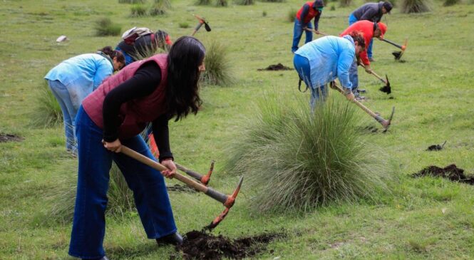 GOBIERNO DE NAUCALPAN REALIZA JORNADA DE REFORESTACIÓN EN LA ZONA DE VILLA ALPINA Y EN EL PARQUE LA HOJA