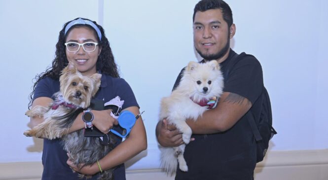 REDOBLAN ESFUERZOS EN MATERIA DE PROTECCIÓN Y BIENESTAR ANIMAL EN TLALNEPANTLA