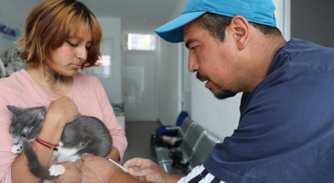 BRINDA HUIXQUICAN MÁS DE 600 CONSULTAS MÉDICAS Y ESTERILIZACIONES GRATUITAS PARA MASCOTAS