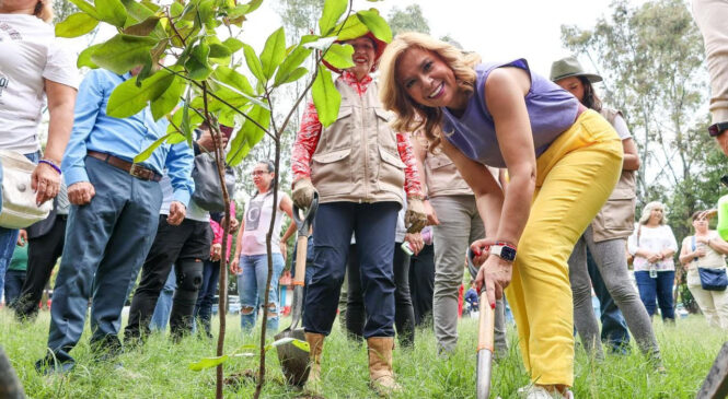 GOBIERNO DE PEDRO RODRÍGUEZ IMPULSA CAMPAÑA DE REFORESTACIÓN CON LA PLANTACIÓN DE DIEZ MIL ÁRBOLES