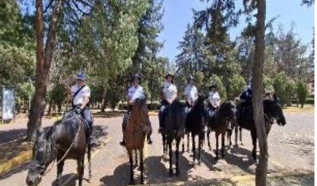 CAPTURA GUARDIA MUNICIPAL A CUATRO SUJETOS POR PRESUNTOS ROBOS EN OPERATIVOS