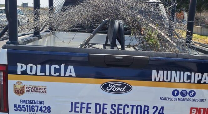 POLICÍA DE ECATEPEC DETIENE A SUJETOS POR ROBO EN CIRCUITO EXTERIOR