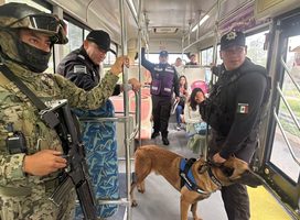 POLICÍA MUNICIPAL Y MARINA REALIZAN OPERATIVO USUARIO SEGURO EN EL MEXIBÚS
